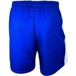AJBC Playing Shorts