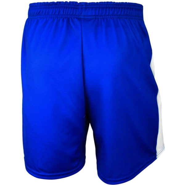 AJBC Playing Shorts