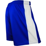 AJBC Playing Shorts