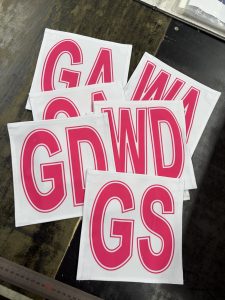 White Netball bibs